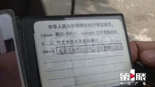 车牌办理窗口工作人员